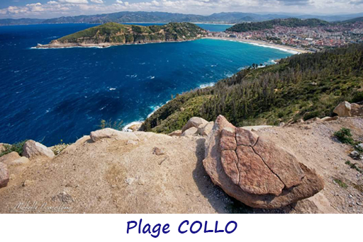 collo 01.jpg